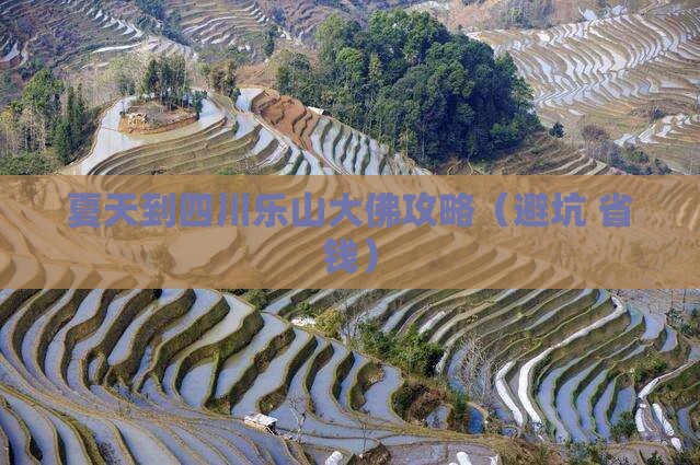 夏天到四川乐山大佛攻略