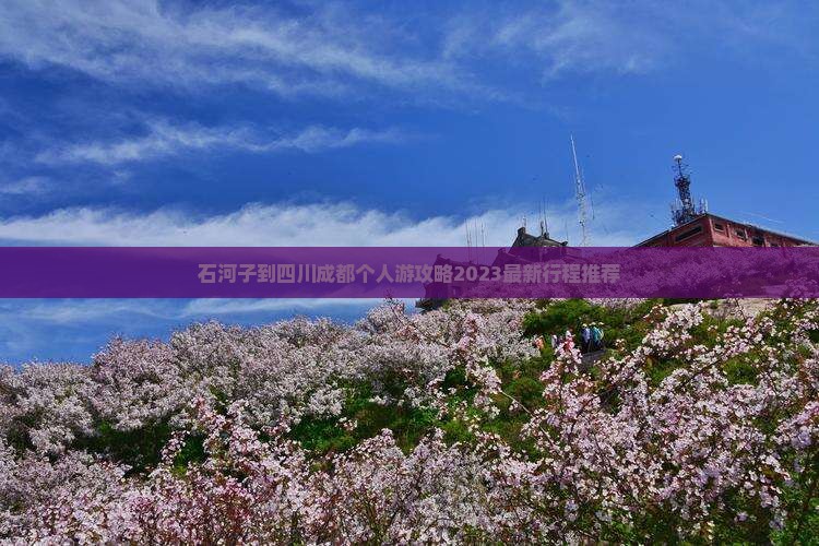 石河子到四川成都个人游