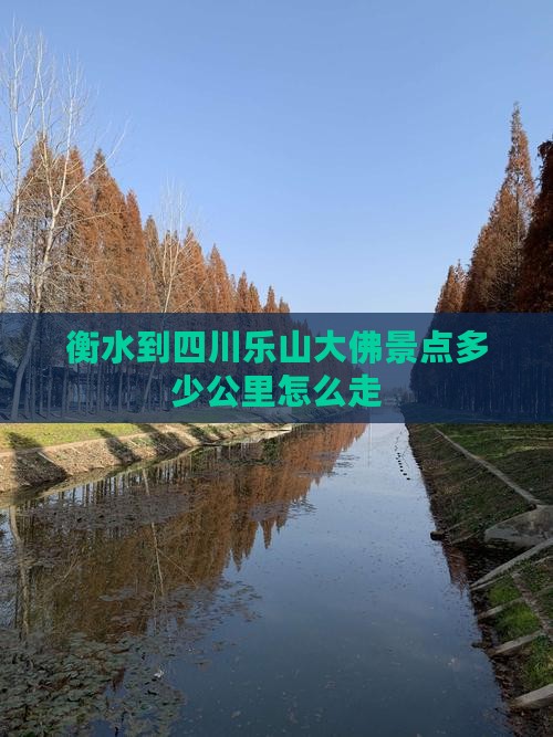 衡水到四川乐山大佛景点