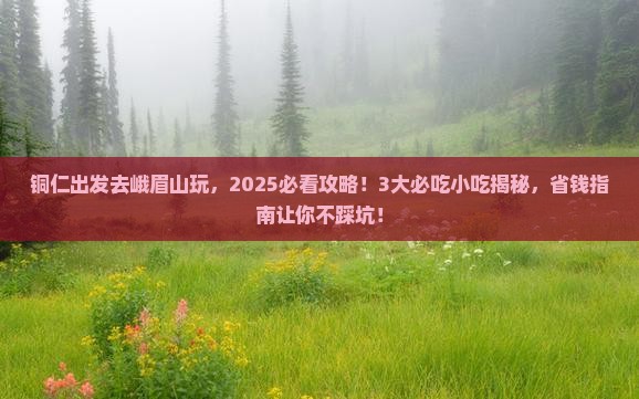铜仁到四川峨眉山旅游小吃