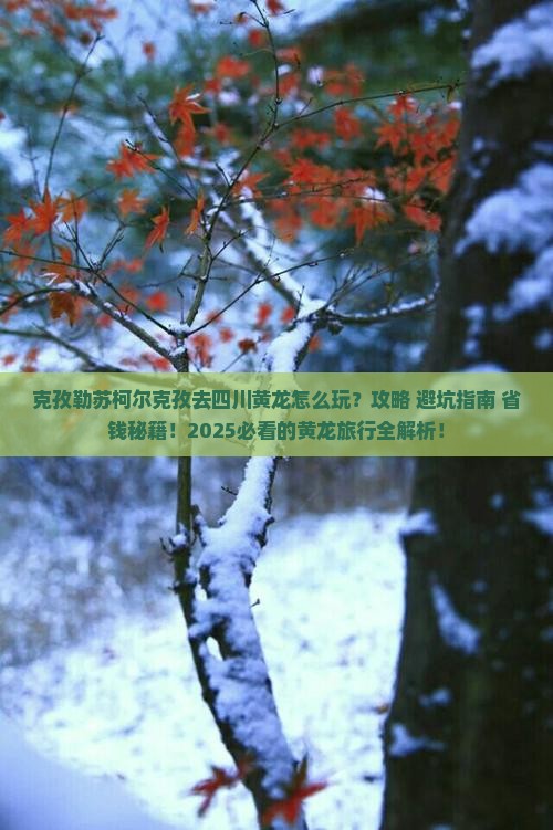 克孜勒苏柯尔克孜去四川黄龙旅行社