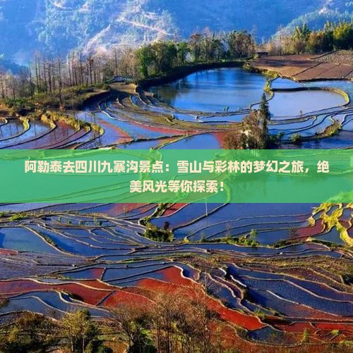 阿勒泰去四川九寨沟景点