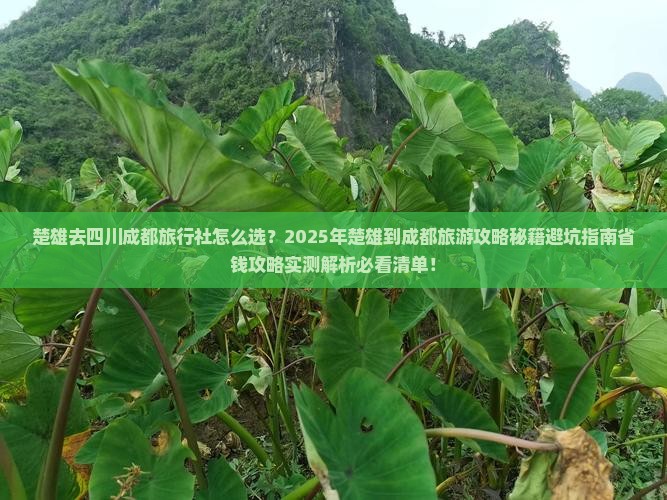 楚雄去四川成都旅行社 楚雄去四川成都旅行社