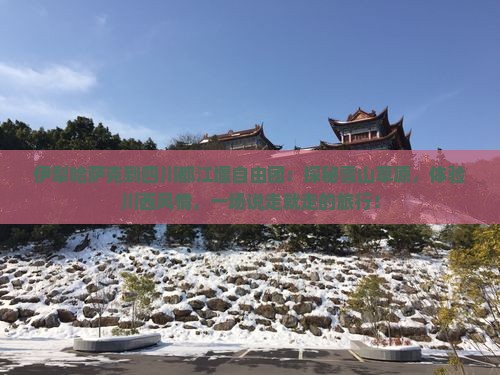 伊犁哈萨克到四川都江堰自由团