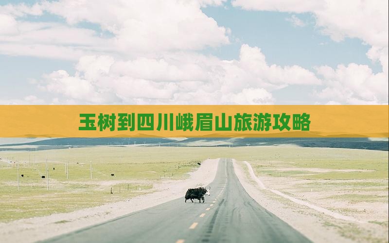 玉树去四川峨眉山旅行社