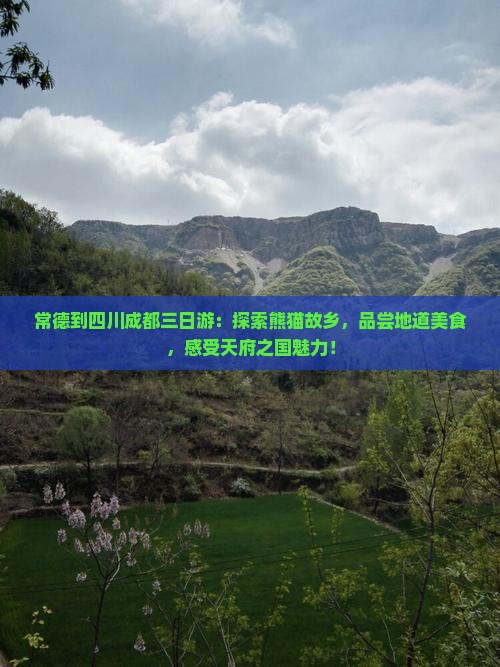 常德到四川成都三日游