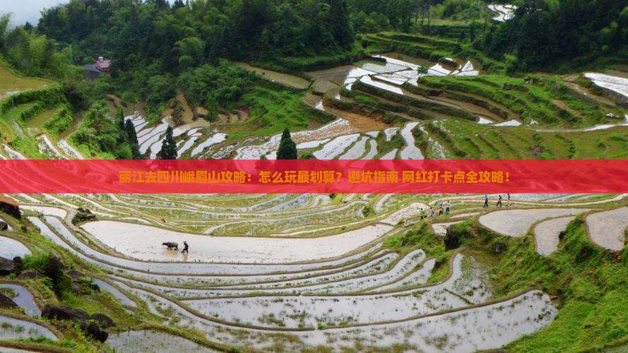 丽江去四川峨眉山攻略