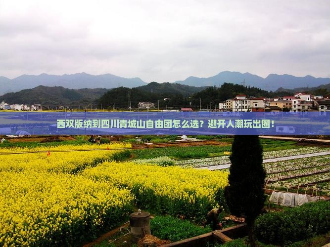 西双版纳到四川青城山自由团