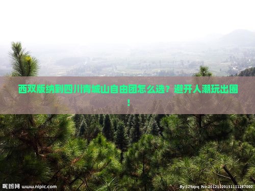西双版纳到四川青城山自由团