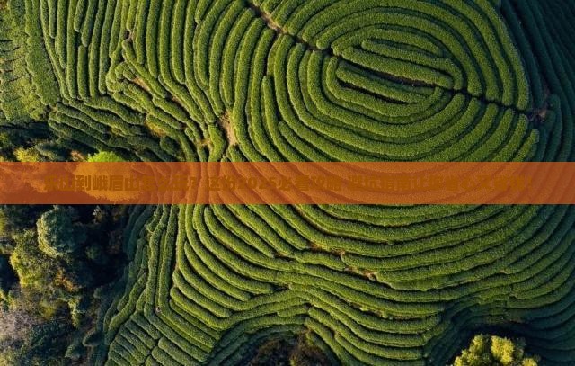乐山到四川峨眉山攻略