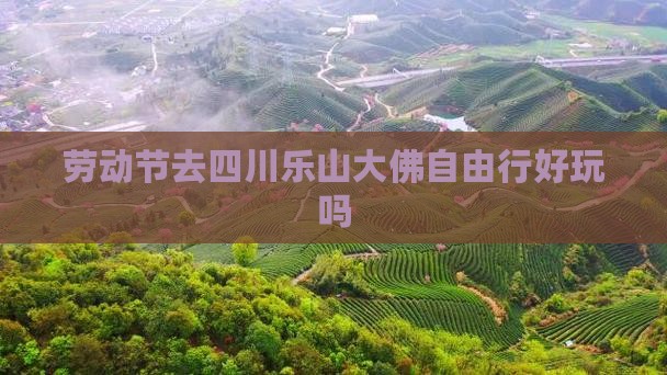 劳动节去四川乐山大佛自由行