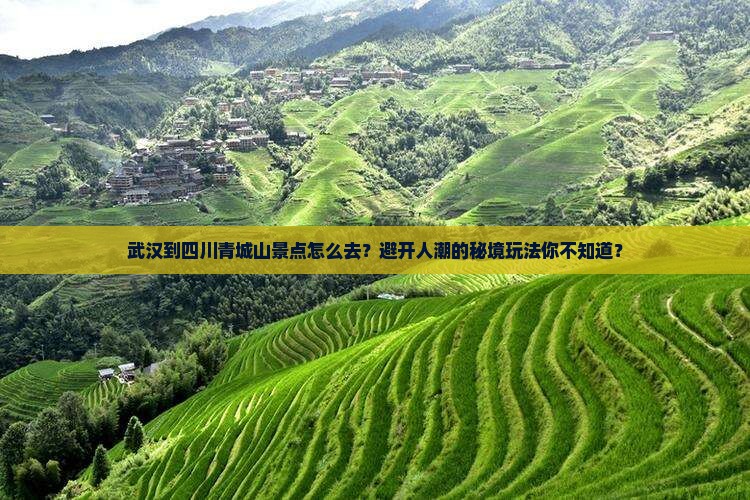 武汉到四川青城山景点