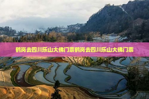 鹤岗去四川乐山大佛门票