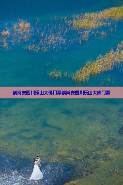 鹤岗去四川乐山大佛门票