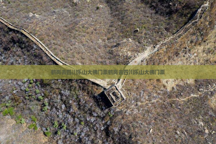鹤岗去四川乐山大佛门票
