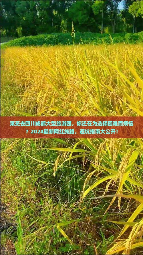 莱芜去四川成都大型旅游团