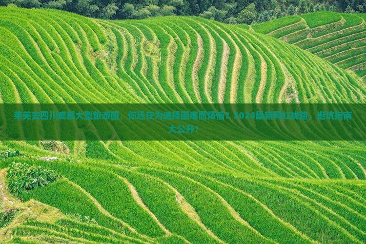 莱芜去四川成都大型旅游团