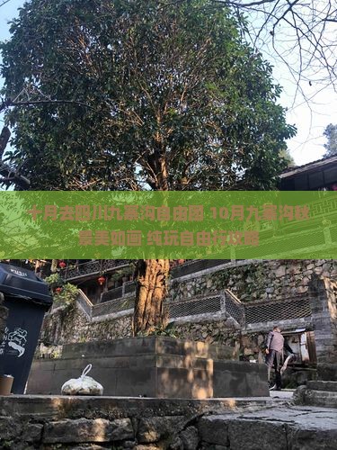十月去四川九寨沟自由团