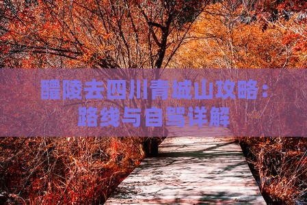 醴陵去四川青城山攻略