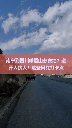 南宁到四川峨眉山必去地