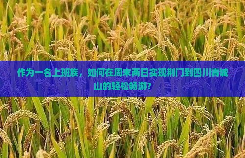 作为一名上班族，如何在周末两日实现荆门到四川青城山的轻松畅游？