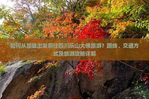 如何从楚雄出发前往四川乐山大佛旅游？路线、交通方式及旅游攻略详解