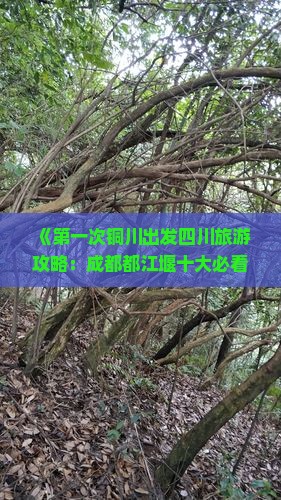 《第一次铜川出发四川旅游攻略：成都都江堰十大必看景点、游玩路线及都江堰景区信息指南》