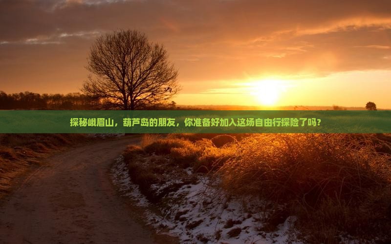 探秘峨眉山，葫芦岛的朋友，你准备好加入这场自由行探险了吗？