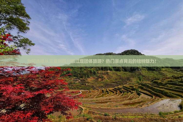为何选择从三亚到四川都江堰团体旅游？热门景点背后的独特魅力！