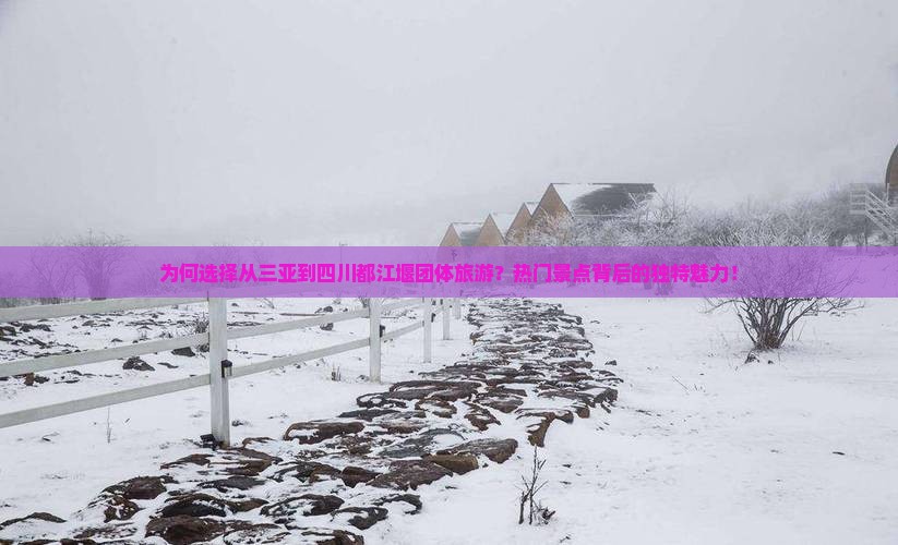 为何选择从三亚到四川都江堰团体旅游？热门景点背后的独特魅力！