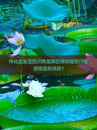 怀化出发至四川黄龙两日游攻略及行程安排是怎样的？