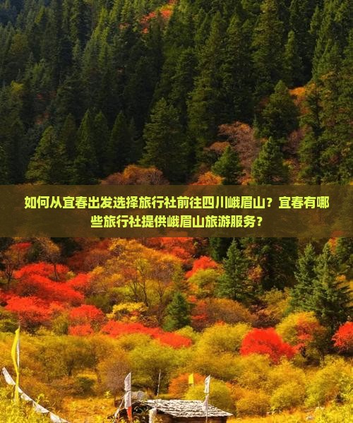 如何从宜春出发选择旅行社前往四川峨眉山？宜春有哪些旅行社提供峨眉山旅游服务？
