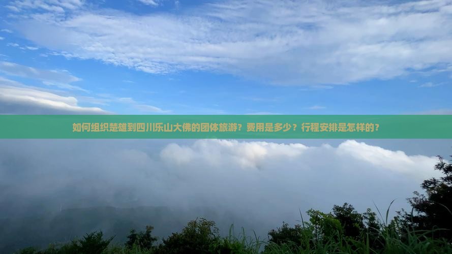 如何组织楚雄到四川乐山大佛的团体旅游？费用是多少？行程安排是怎样的？