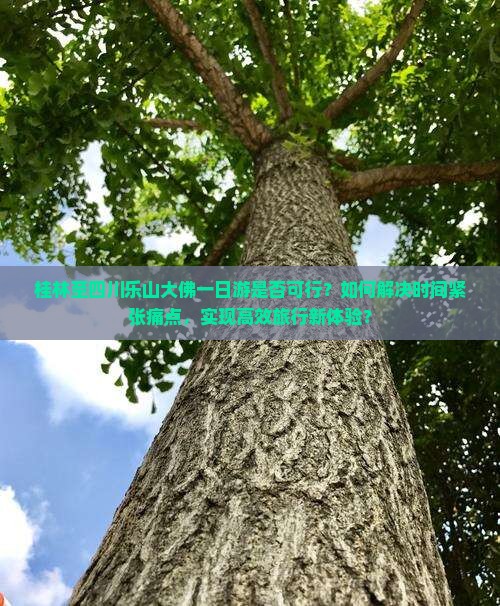 桂林至四川乐山大佛一日游是否可行？如何解决时间紧张痛点，实现高效旅行新体验？