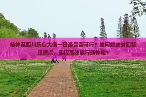 桂林至四川乐山大佛一日游是否可行？如何解决时间紧张痛点，实现高效旅行新体验？