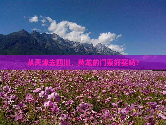 从天津去四川，黄龙的门票好买吗？