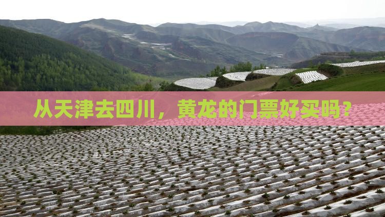 从天津去四川，黄龙的门票好买吗？