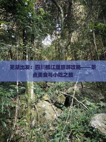 芜湖出发：四川都江堰旅游攻略——景点美食与小吃之旅