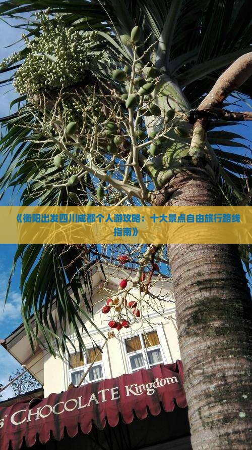 《衡阳出发四川成都个人游攻略：十大景点自由旅行路线指南》