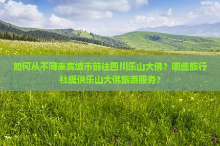 如何从不同来宾城市前往四川乐山大佛？哪些旅行社提供乐山大佛旅游服务？