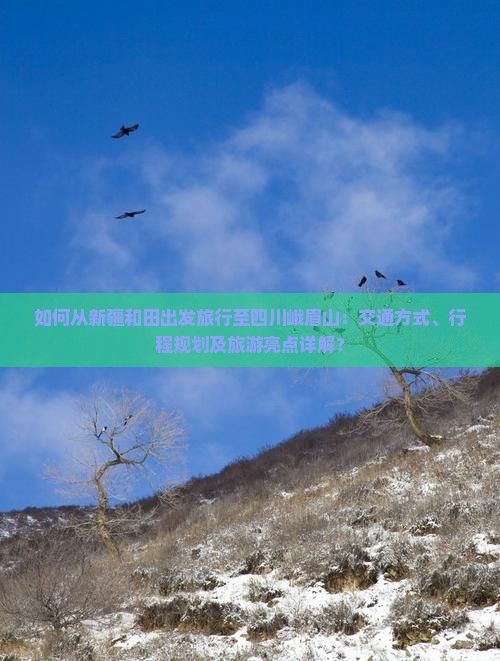 如何从新疆和田出发旅行至四川峨眉山：交通方式、行程规划及旅游亮点详解？