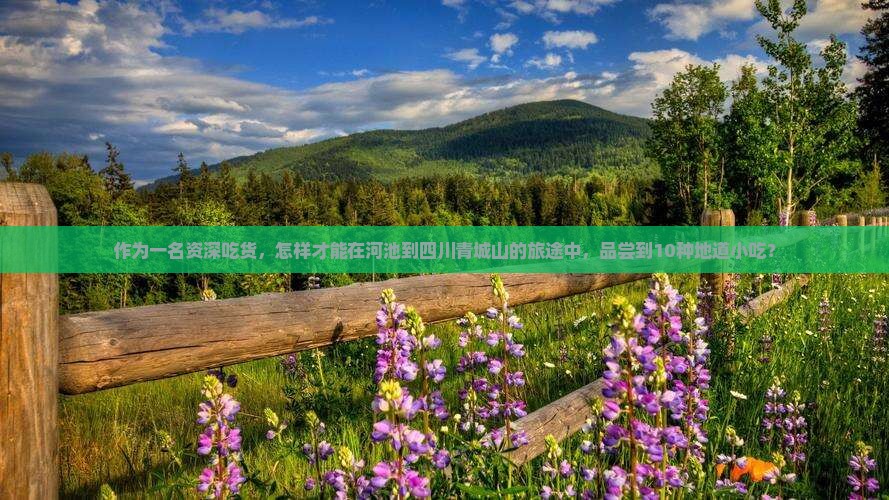 作为一名资深吃货，怎样才能在河池到四川青城山的旅途中，品尝到10种地道小吃？