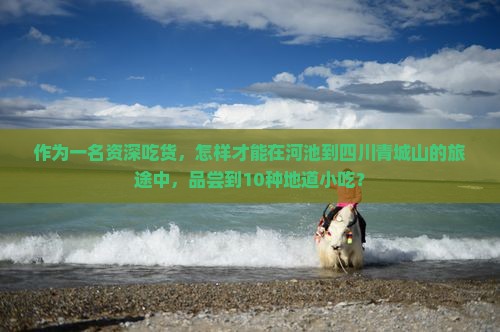 作为一名资深吃货，怎样才能在河池到四川青城山的旅途中，品尝到10种地道小吃？