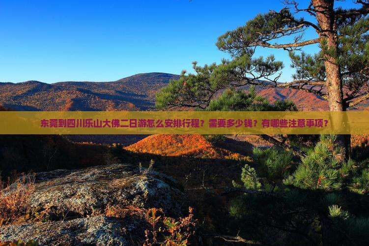 东莞到四川乐山大佛二日游怎么安排行程？需要多少钱？有哪些注意事项？
