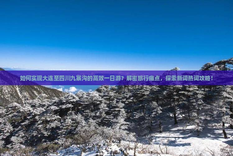 如何实现大连至四川九寨沟的高效一日游？解密旅行痛点，探索新词热词攻略！
