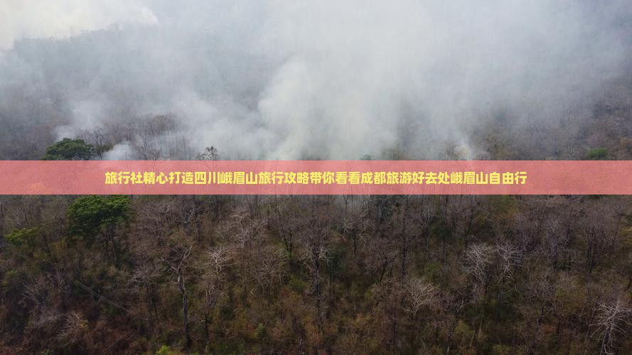 旅行社精心打造四川峨眉山旅行攻略带你看看成都旅游好去处峨眉山自由行