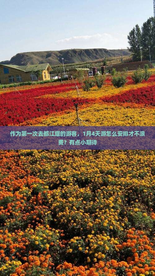 作为第一次去都江堰的游客，1月4天游怎么安排才不浪费？有点小期待
