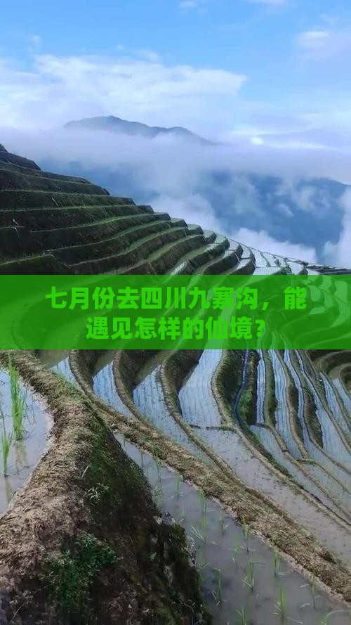 七月份去四川九寨沟，能遇见怎样的仙境？