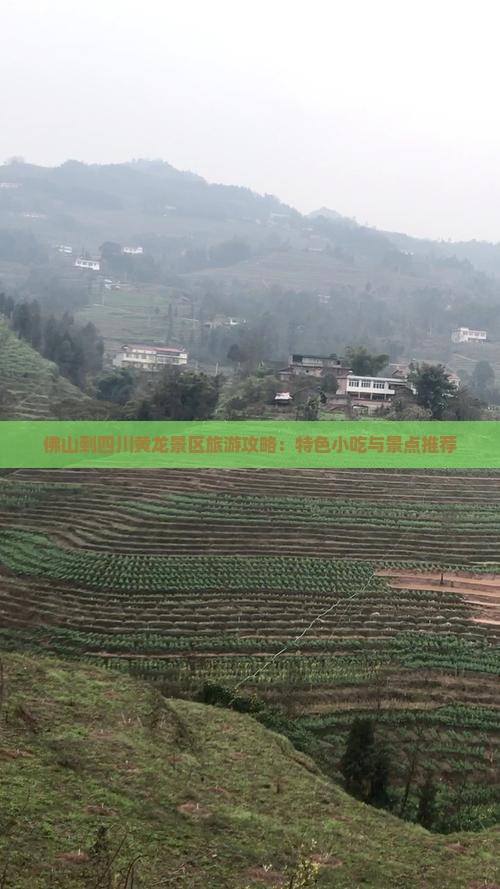 佛山到四川黄龙景区旅游攻略：特色小吃与景点推荐