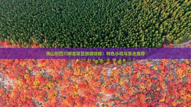 佛山到四川黄龙景区旅游攻略：特色小吃与景点推荐